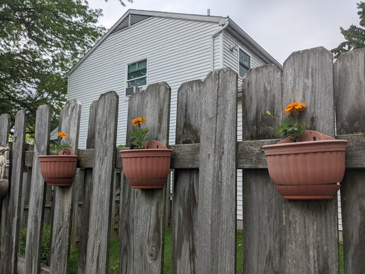 Step-by-Step Guide to Building a Raised Vegetable Garden for Beginners: Your Path to a Thriving Backyard Garden