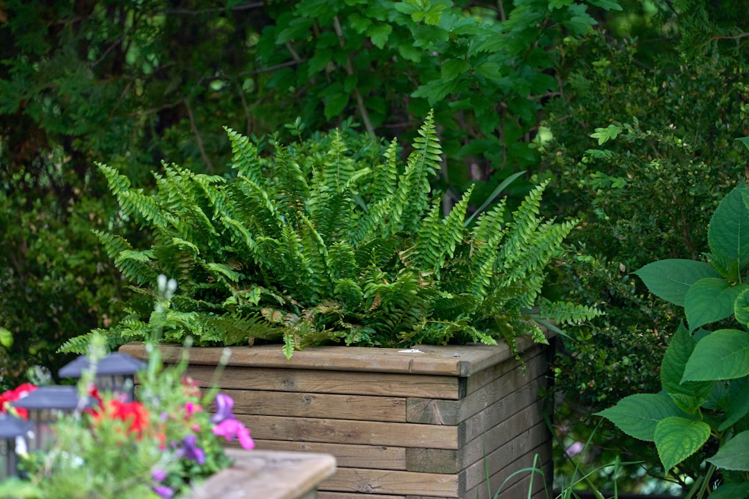 Step-by-Step Guide to Building an Affordable Raised Garden Bed for Beginners