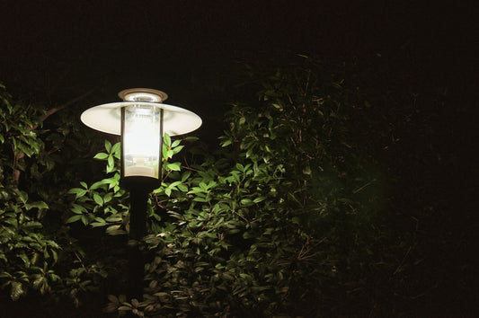 Outdoor Wall Lights vs Post Lights: Which Boosts Front Yard Curb Appeal Best?