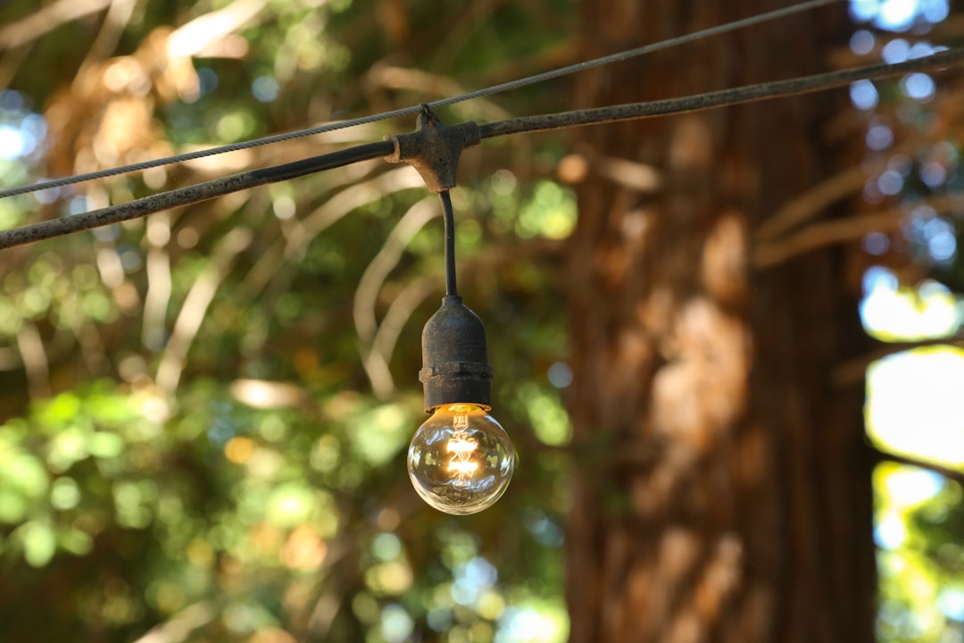Illuminate Your Bliss: Designing the Perfect Outdoor Lighting Plan for Your Backyard Retreat