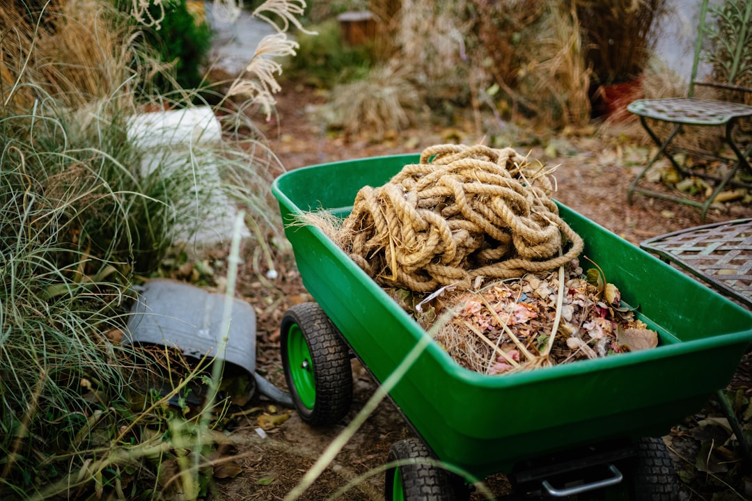 Build an Eco-Friendly Compost Bin for Your Backyard Garden: A Step-by-Step Guide