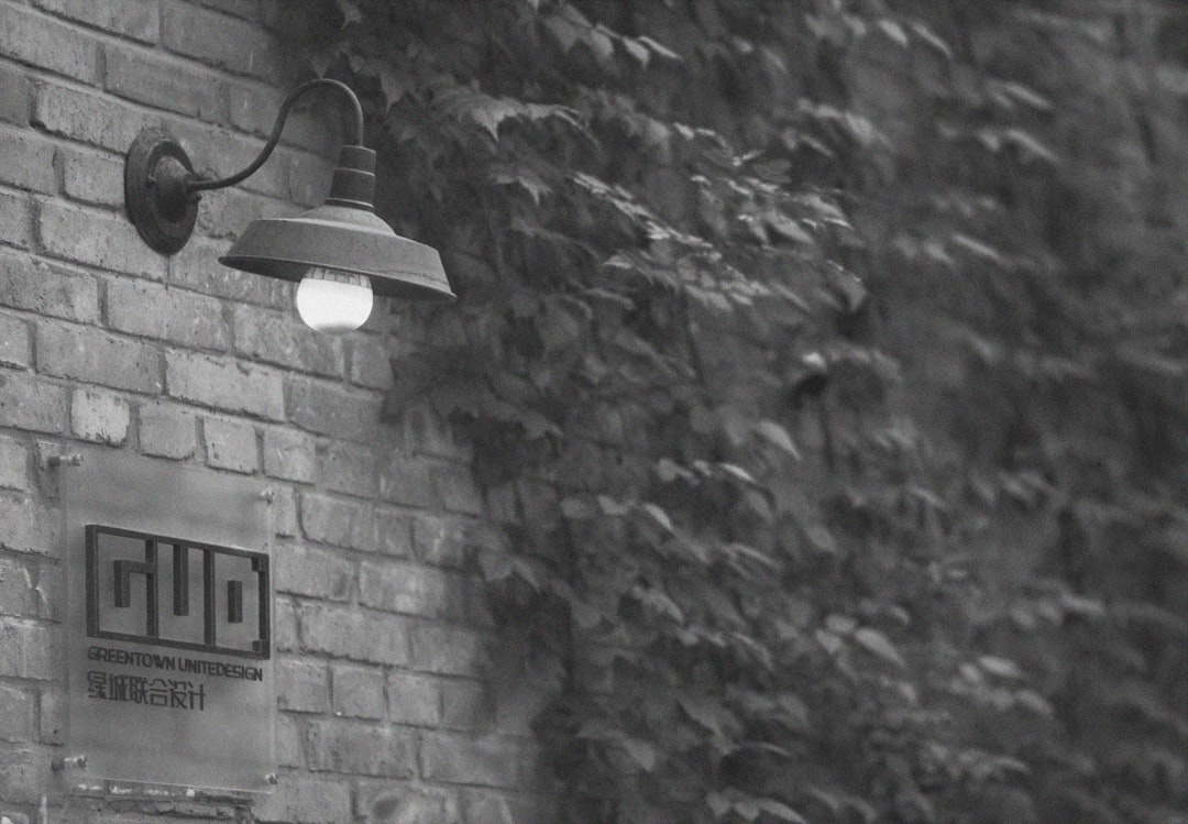 Outdoor Wall Lights vs Post Lights: Which Boosts Front Yard Curb Appeal Best?