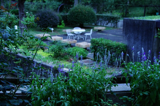 Ultimate Guide to Building a Sustainable Vegetable Garden in Your Backyard