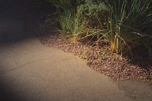 Solar vs Low-Voltage Pathway Lights for a Dark Front Walk: Which Is Best?