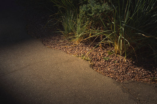 Solar vs Low-Voltage Pathway Lights for a Shaded Front Walkway: Which Is Best?