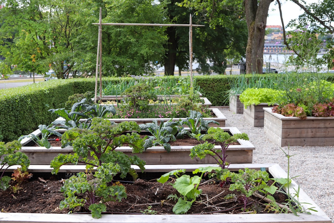 Step-by-Step Guide to Building a Raised Garden Bed for Beginner Veggie Growers
