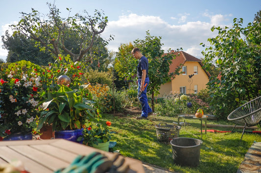 Unlocking the Potential of Small Spaces: How to Design a Productive Vertical Vegetable Garden in Your Backyard