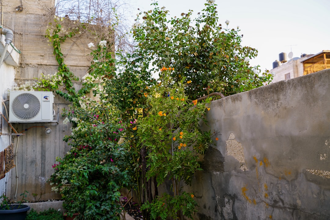 Maximize Your Small Backyard: 7 Space-Saving Gardening Ideas for Urban Living
