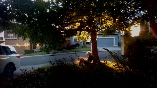 Motion Sensor vs Dusk-to-Dawn Lights: Best Driveway Security Lights for a Dark Driveway