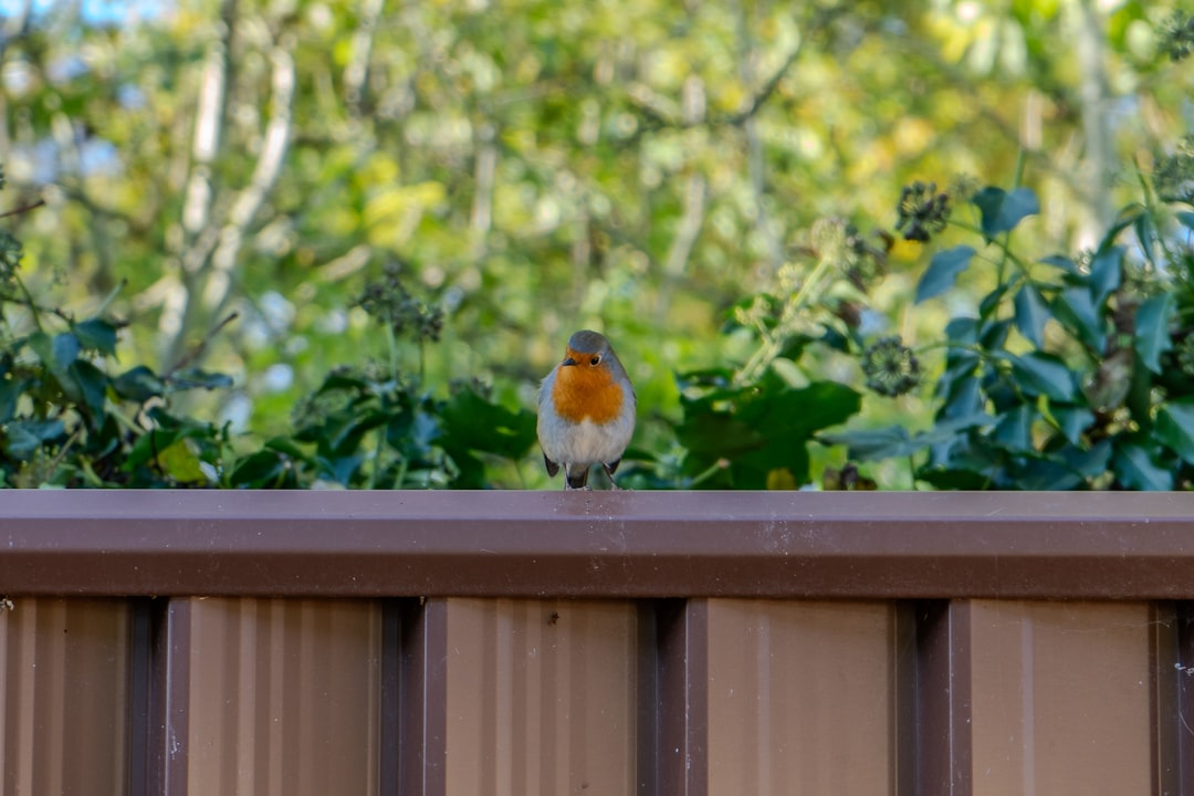 Step-by-Step Guide to Building a Vertical Garden for Small Backyards