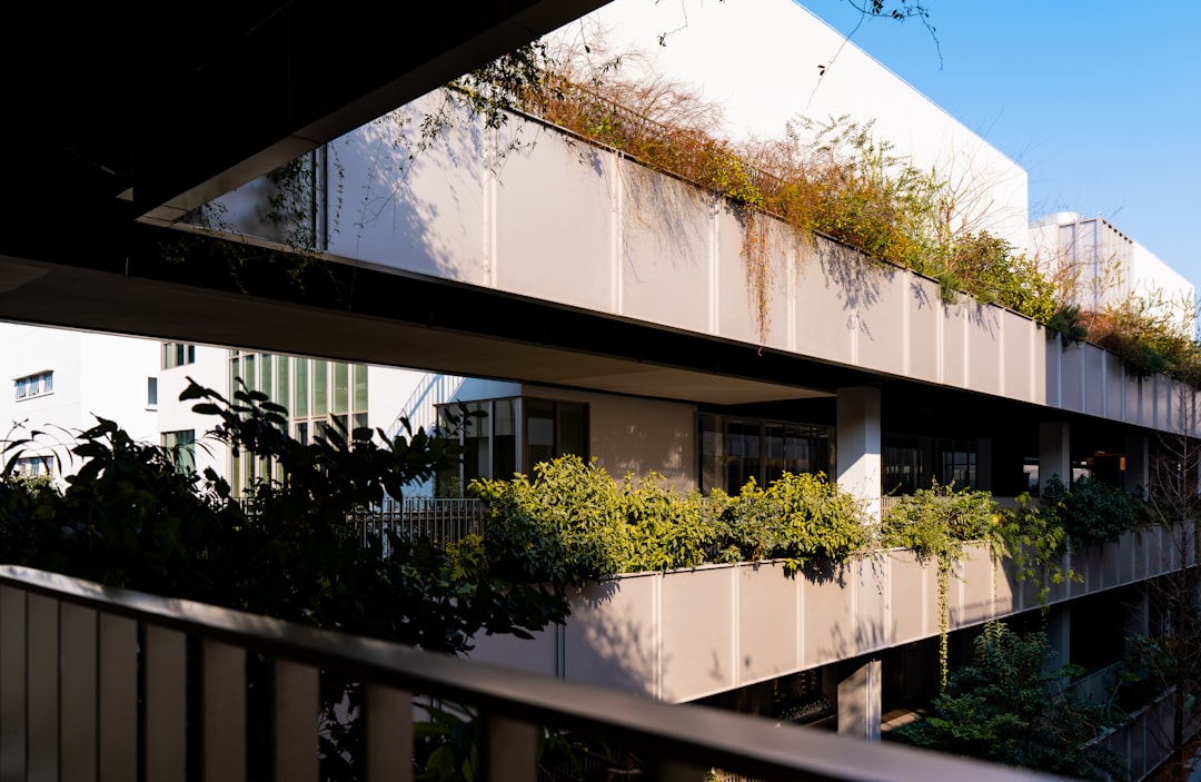 10 Essential Tips for Designing a Functional and Beautiful Vertical Garden