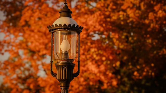 Creating a Cozy Atmosphere: Best Outdoor Lighting Ideas for Fall Gatherings