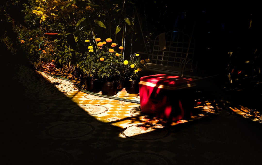 Create Your Dream Cozy Backyard Lounge with Ambient Lighting Ideas