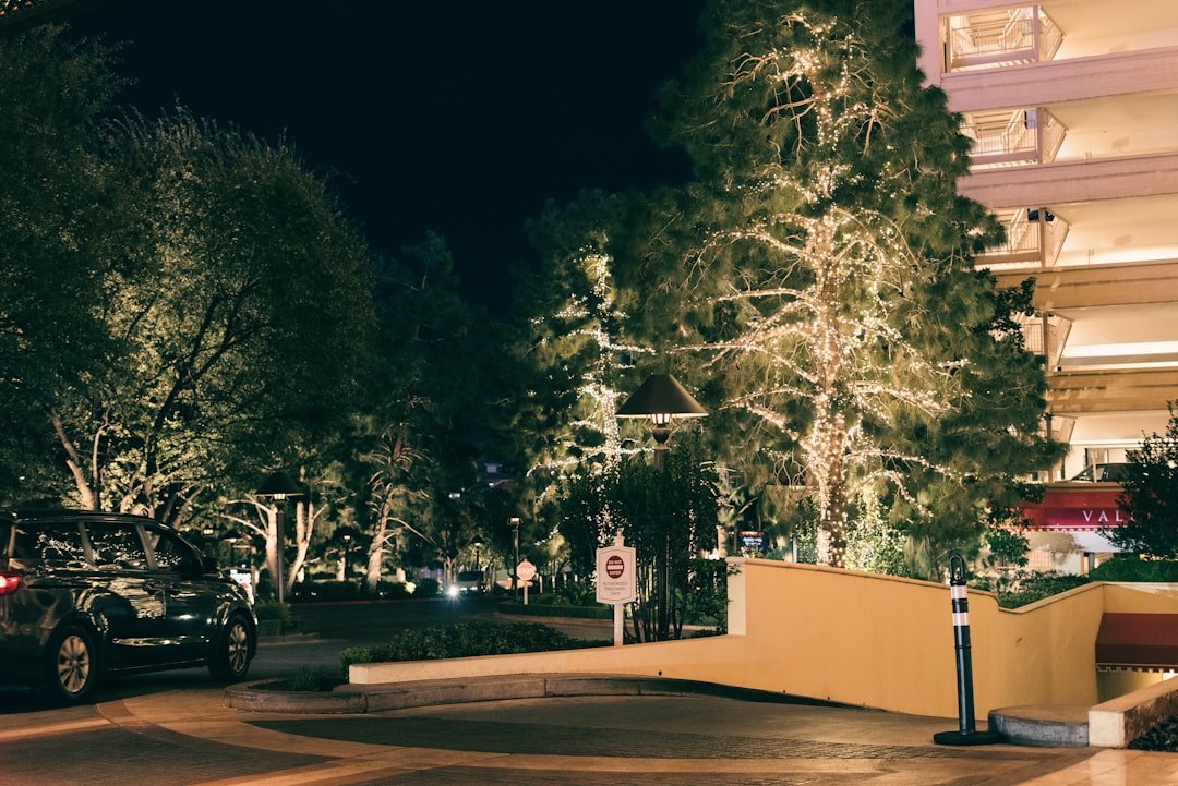 Motion Sensor vs Dusk-to-Dawn Driveway Security Lights: Which Is Better for Your Home?