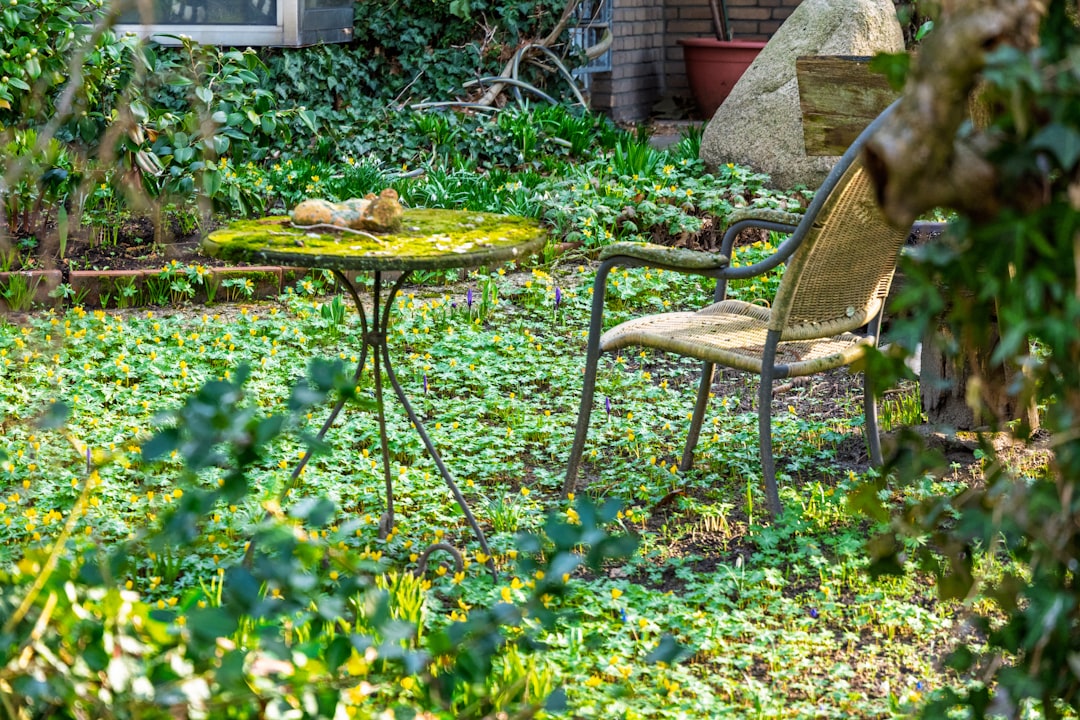 Top 7 Eco-Friendly Landscaping Ideas to Enhance Your Backyard Oasis