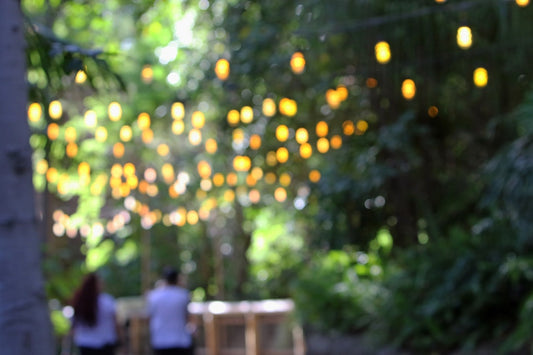 Illuminate Your Backyard: Top 5 Smart Outdoor Lighting Solutions for an Enhanced Experience