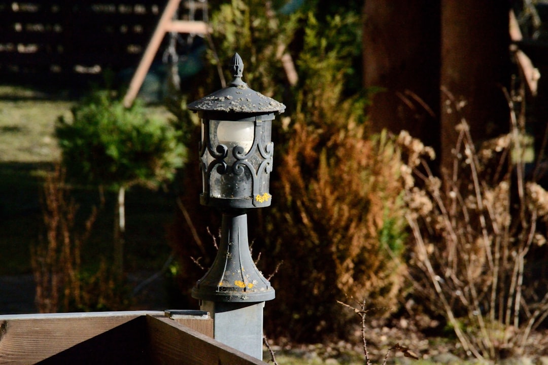 Best Motion Sensor Lights for a Dark Side Yard: What to Look For Before You Buy