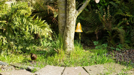 How to Light a Backyard Path with No Outdoor Outlet: Easy Solar, Battery & Low-Voltage Ideas