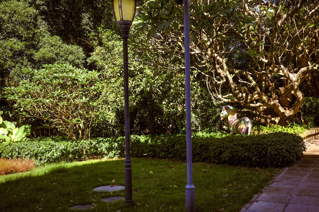 Solar vs Low-Voltage Pathway Lights: Best Choice for a Curved Front Yard Walkway
