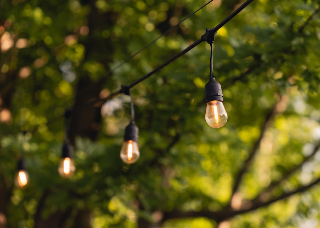 Best Outdoor Lighting Ideas for a Backyard With No Power Outlet: Easy, No-Wire Ways to Glow