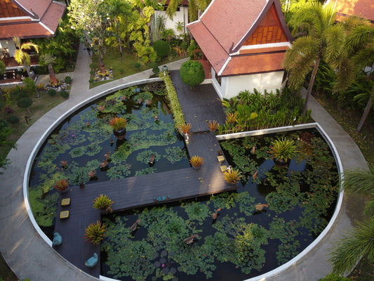 Step-by-Step Guide to Building a Vertical Garden for Small Backyards