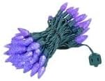 Novelty Lights 24FT 70 LED C6 Christmas String Lights, Outdoor Tree Commercial Grade Permanent Decorations (Purple) | Lumora
