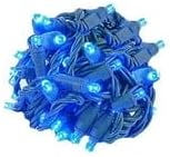 Novelty Lights 25ft 50 LED Blue Christmas Lights Outdoor/Indoor, 6" Spacing, Green Wire String Lights for Festive | Lumora