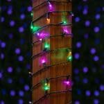 Novelty Lights 50ft 100 LED Yellow/Purple/Green Mardi Gras Lights Outdoor/Indoor, 6" Spacing, Green Wire String Lights for Festive Xmas Lighting, IP55, UL Listed, Dimmable, Connectable