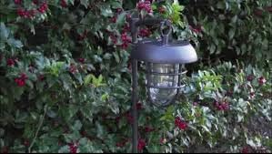 Energizer Outdoor Solar Pathway Lights for Yard - 4 Pack 10 Lumen Oil Rubbed Bronze Solar Stake Lights with | Lumora