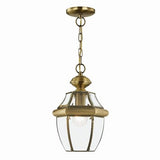 Livex Lighting 2152-01 1-Light Outdoor Hanging Lantern, Antique Brass
