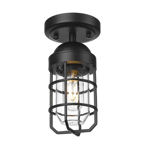 Emliviar Industrial Ceiling Light, Semi Flush Mount Lighting for Indoor, Clear Tempered Glass Shade in Black Finish, GE255F BK