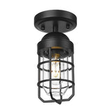 Emliviar Industrial Ceiling Light, Semi Flush Mount Lighting for Indoor, Clear Tempered Glass Shade in Black Finish, GE255F BK