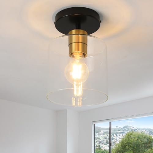 Black Brass Semi Flush Mount Ceiling Light,1 Pack Ceiling Light Fixture