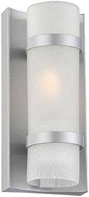 Acclaim 4700BS Apollo Collection 1-Light Wall Mount Outdoor Light Fixture, Brushed Silver