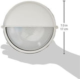 Trans Globe Lighting 4121 WH 8-Inch 1-Light Outdoor Bulkhead, White | Lumora