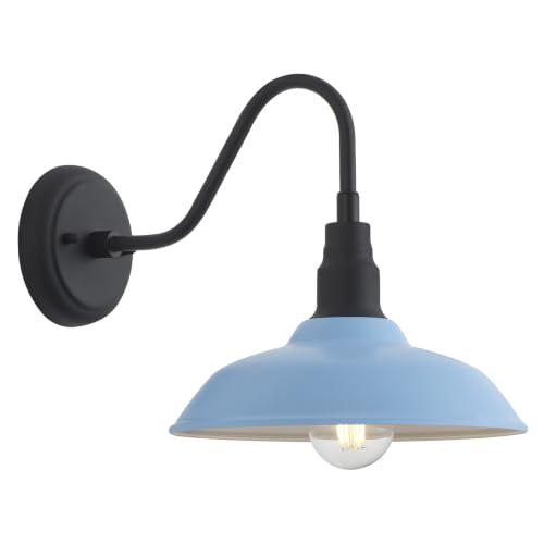 10 Inch Dome Gooseneck Barrn Light Outdoor, Baby Blue Goose Neck Farmhouse Outdoor Lights Fixture, Barn Style Exterior Wall Lighting Fixtures for Garage, Porch, Entryway