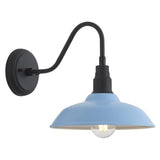 10 Inch Dome Gooseneck Barrn Light Outdoor, Baby Blue Goose Neck Farmhouse Outdoor Lights Fixture, Barn Style Exterior Wall Lighting Fixtures for Garage, Porch, Entryway