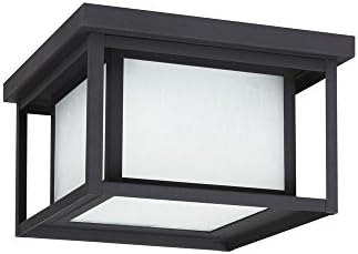Sea Gull Lighting 79039EN3-12 Hunnington Two Light Outdoor Ceiling Flush Mount Hanging Modern Light Fixture, Black | Lumora