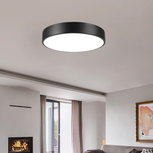 Flush Mount Ceiling Light, 13" 3CCT Dimmable Modern Matte Black