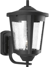 Progress Lighting East Haven Collection 1-Light Clear Seeded Glass Transitional Outdoor Large Wall Lantern Light | Lumora