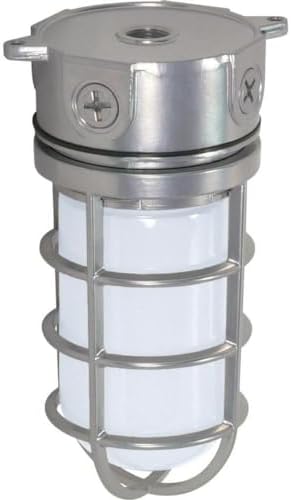Nuvo Lighting SF76/624 Industrial Style Small Heavy Duty Aluminum Durable Outdoor Close to Ceiling Porch and Patio Light with Frosted Glass, Metallic Silver