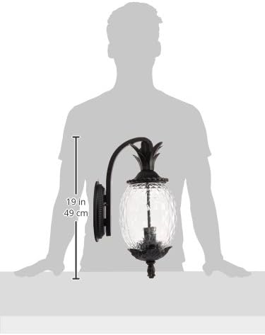Acclaim 7502BK Lanai Collection 2-Light Wall Mount Outdoor Light Fixture, Matte Black
