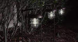Energizer Outdoor Solar Pathway Lights for Yard - 4 Pack 10 Lumen Oil Rubbed Bronze Solar Stake Lights with | Lumora