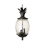 Acclaim 7516BK Lanai Collection 3-Light Outdoor Light Fixture Hanging Lantern, Matte Black