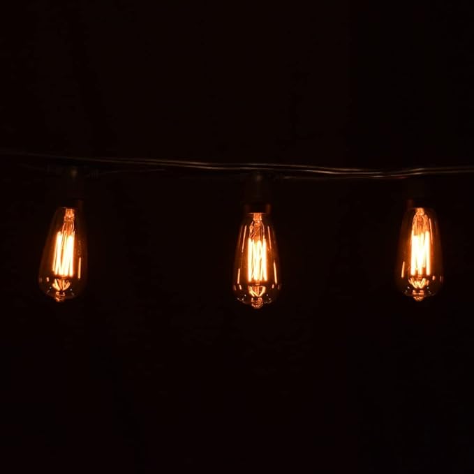 Hometown Evolution, Inc. Commercial Edison Bulb Outdoor String Lights with Hand-Threaded Filament (ST40 Lantern Edison - Commercial Black Wire, 100 ft)
