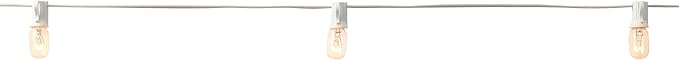 Ashland 20ct. Mini Edison String Lights with White Cord