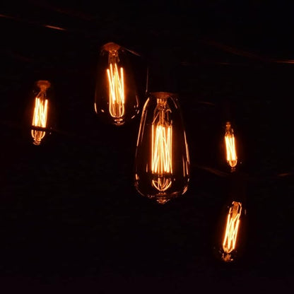 Hometown Evolution, Inc. Edison Bulb Outdoor String Lights with Hand-Threaded Filament (ST40 Lantern Edison - Black Wire, 50 ft)