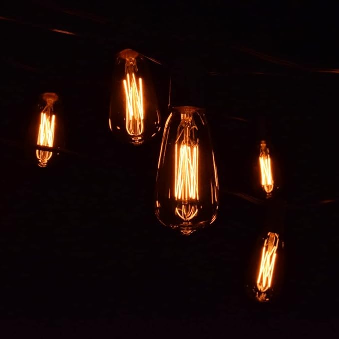 Hometown Evolution, Inc. Edison Bulb Outdoor String Lights with Hand-Threaded Filament (ST40 Lantern Edison - Black Wire, 10 ft)