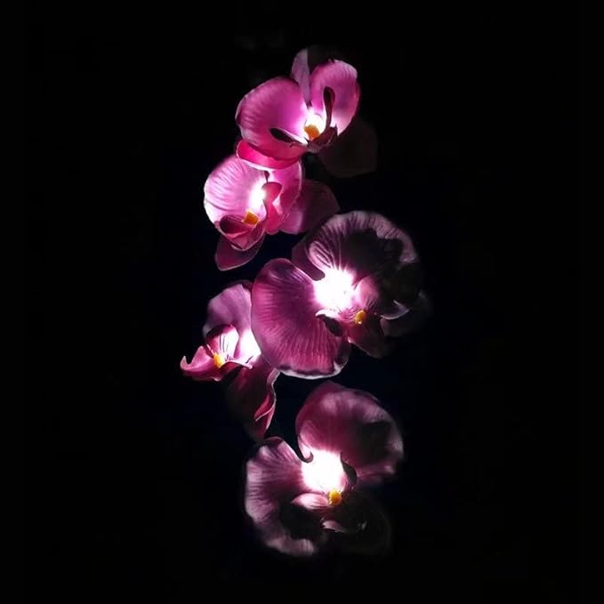 Flower Solar Lights Outdoor 2 Pack Waterproof Solar Garden Lights Phalaenopsis Flowers, Color-Changing Outdoor Lights for Patio, Back Yard, Garden, Lawn, Pathway