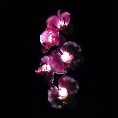 Flower Solar Lights Outdoor 2 Pack Waterproof Solar Garden Lights Phalaenopsis Flowers, Color-Changing Outdoor Lights for Patio, Back Yard, Garden, Lawn, Pathway